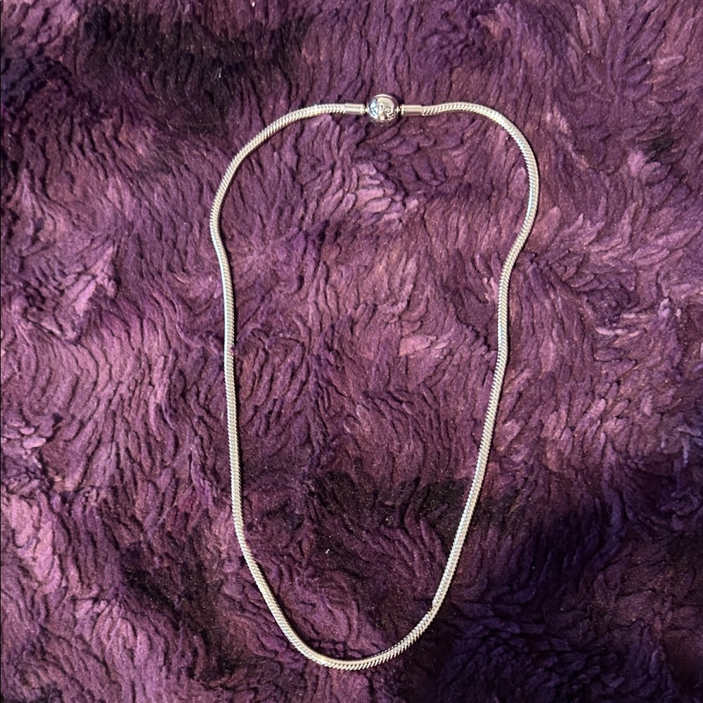 Snake Chain Necklace